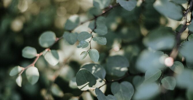 Perineural Injection Therapy