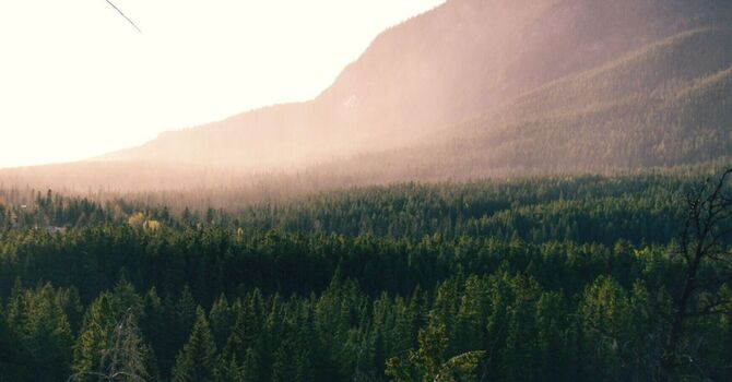 Naturopathic Medicine