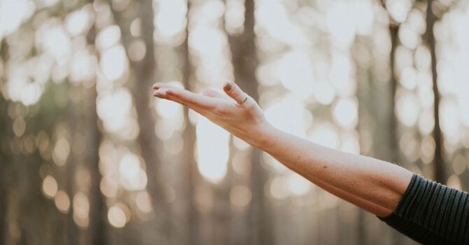 What's Going On When Your Hips Are Making Noise? image